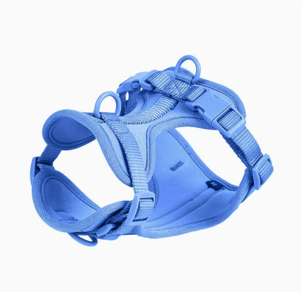 No-pull dog harness product image representing walking gear